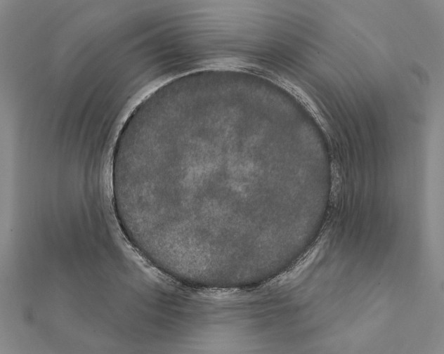 X0000111440939200908241141