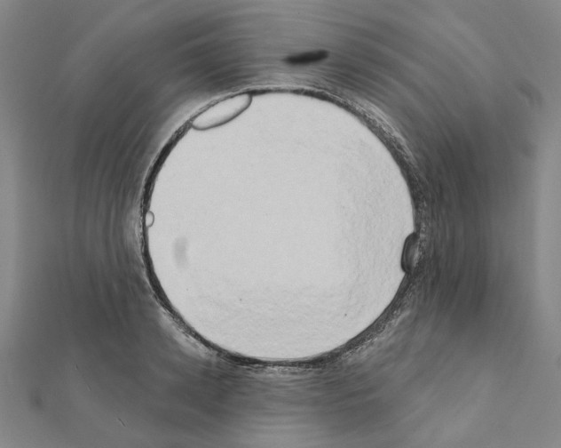 X0000111440942200908241141
