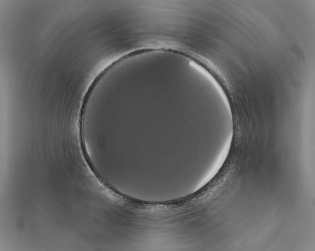 X0000111440943200908241141