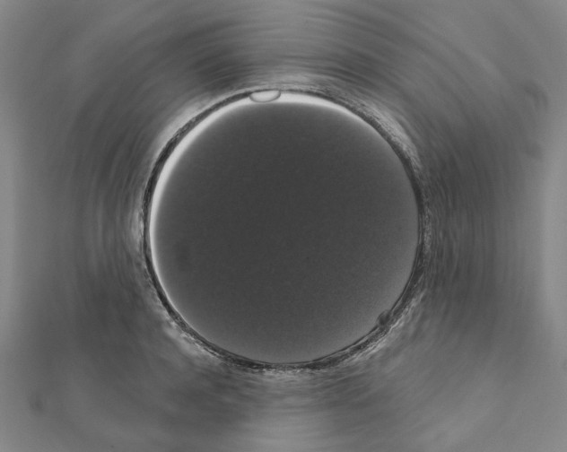 X0000111440944200908241141