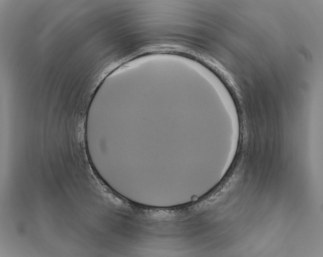 X0000111440945200908241141