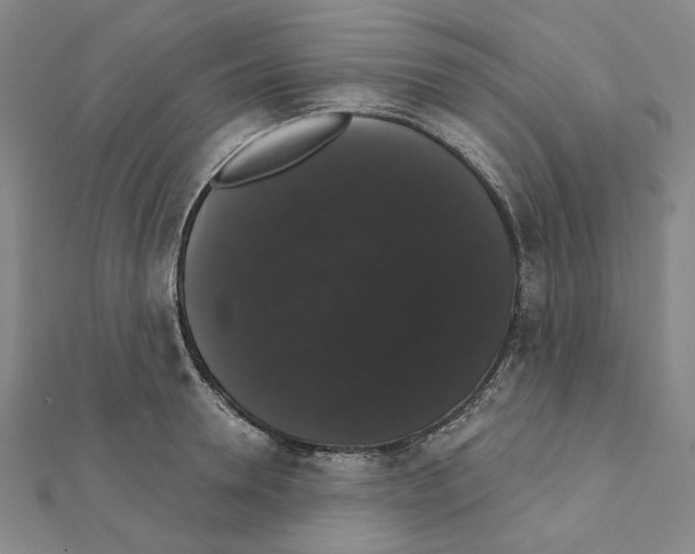 X0000111440946200908241141