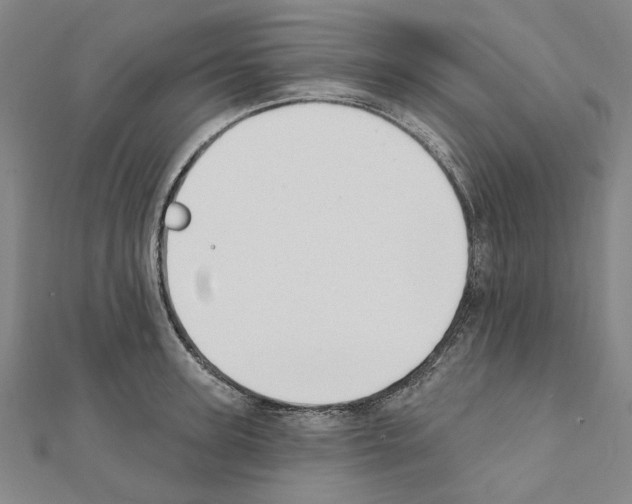 X0000111440947200908241141