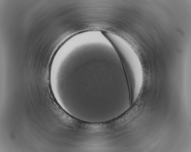 X0000111440948200908241141