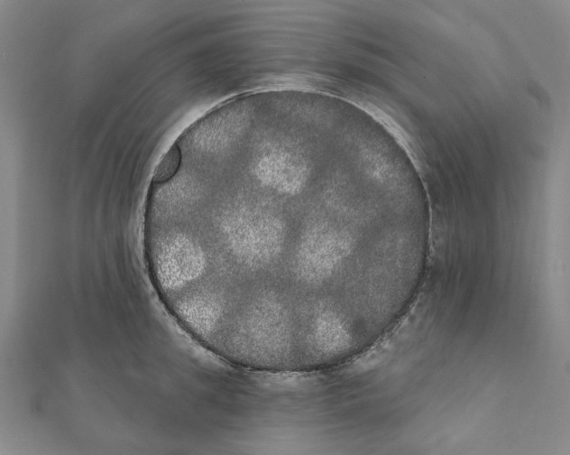 X0000111440949200908241141
