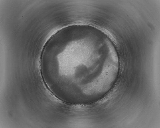 X0000111440950200908241141