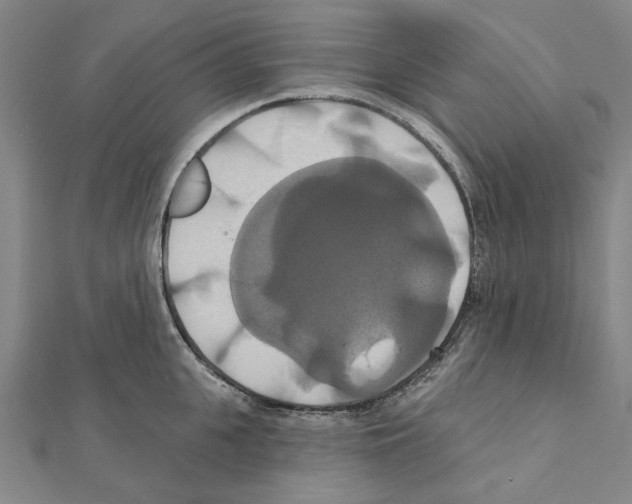 X0000111440951200908241141
