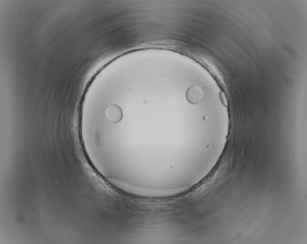 X0000111440952200908241141