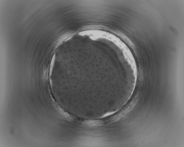 X0000111440953200908241141
