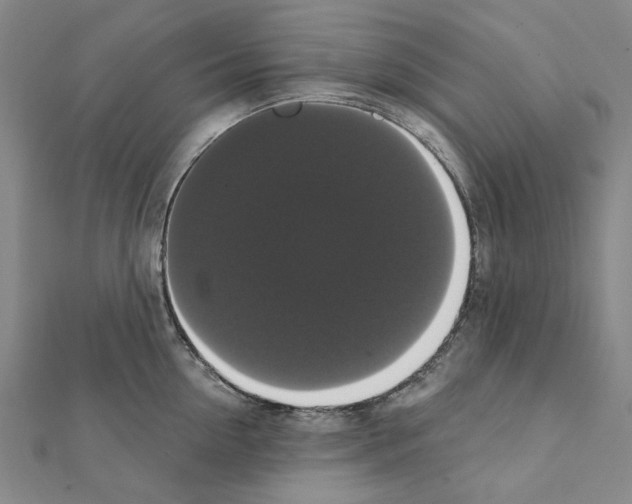 X0000111440954200908241141