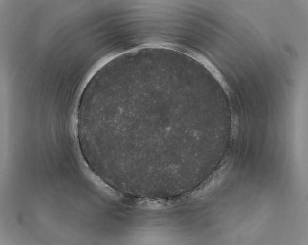 X0000111440955200908241141