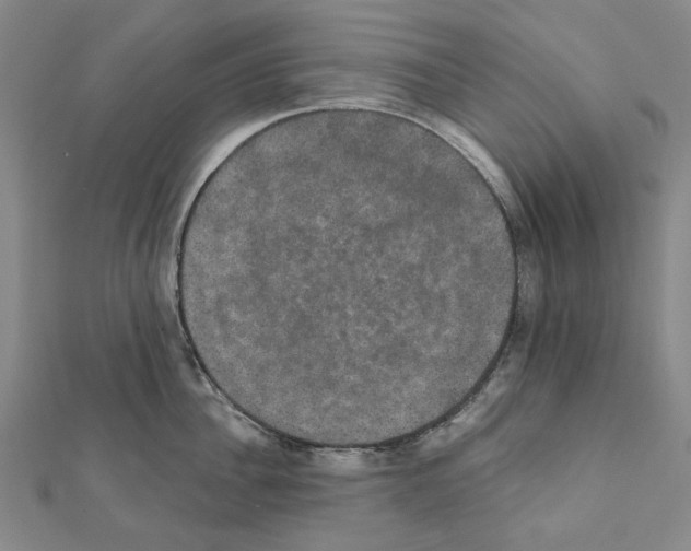 X0000111440956200908241141
