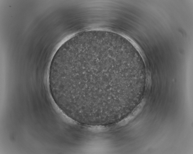 X0000111440957200908241141