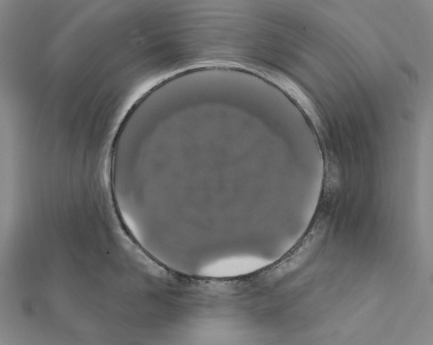 X0000111440958200908241141