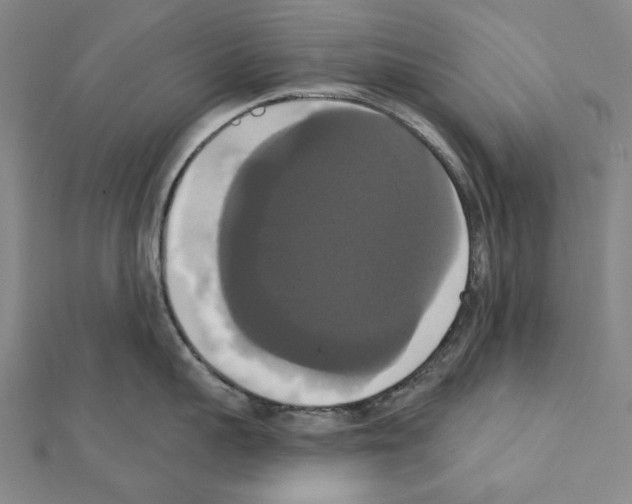 X0000111440959200908241141
