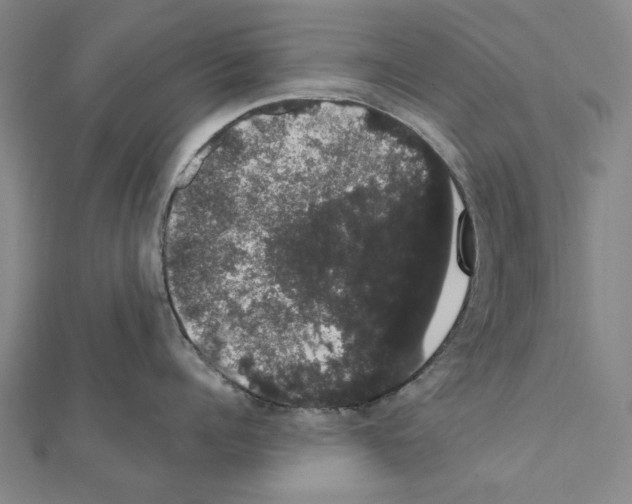 X0000111440960200908241141