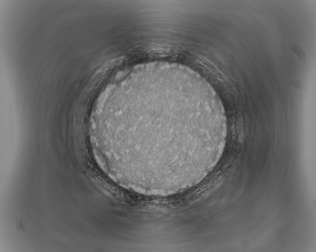 X0000111440961200908241140