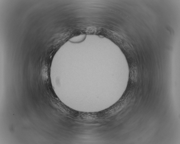 X0000111440962200908241140