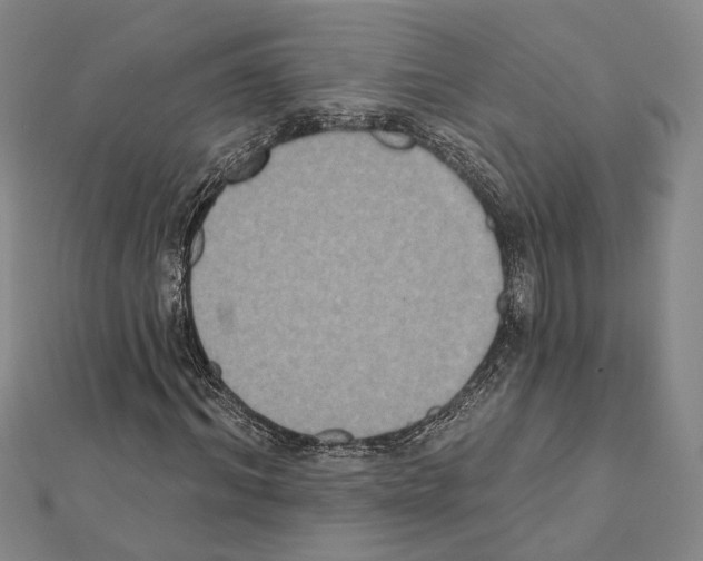 X0000111440964200908241140