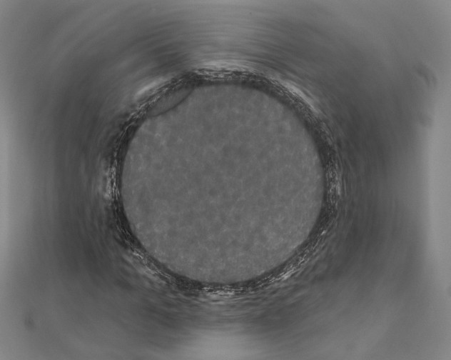 X0000111440965200908241140