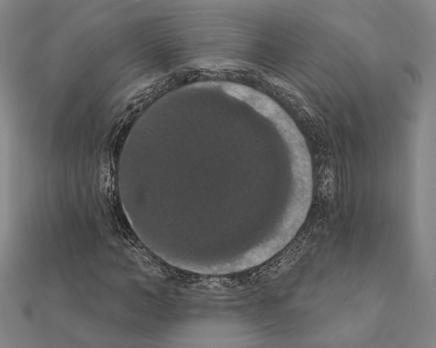 X0000111440966200908241140