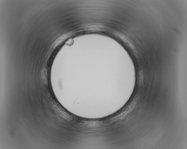 X0000111440970200908241140
