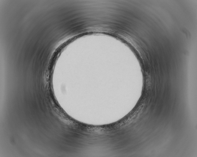 X0000111440971200908241140