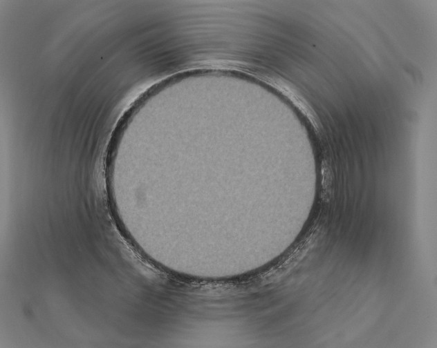 X0000111440972200908241140