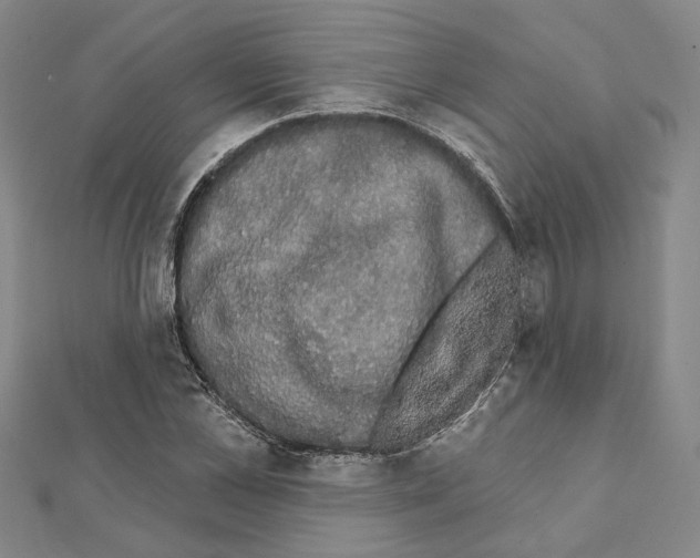 X0000111440973200908241140