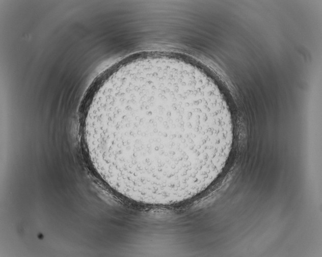 X0000111440974200908241140