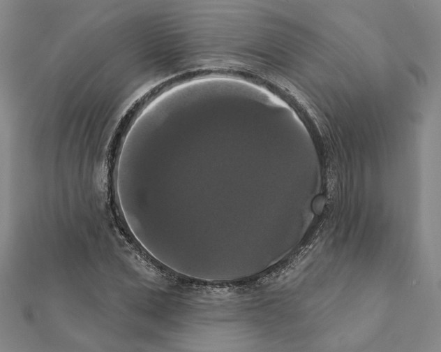 X0000111440975200908241140