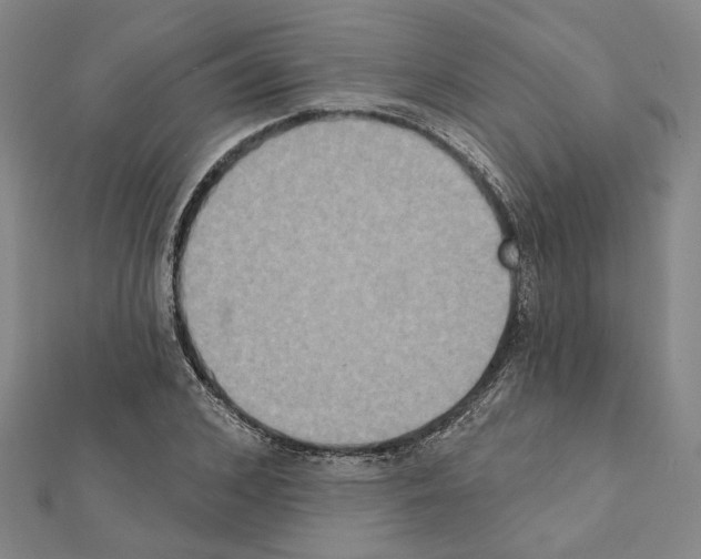 X0000111440976200908241140