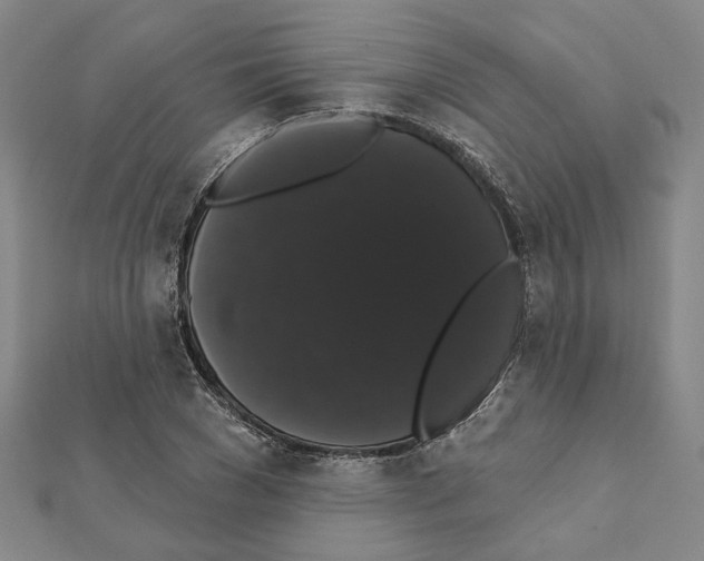 X0000111440977200908241140
