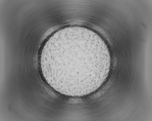 X0000111440978200908241140