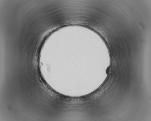 X0000111440979200908241140