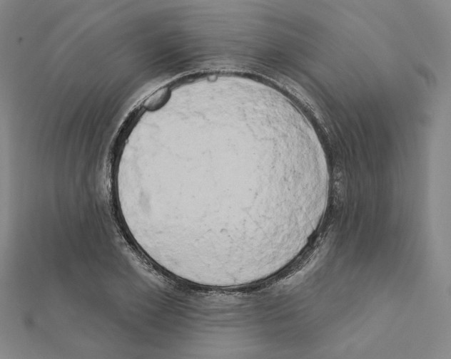 X0000111440981200908241140