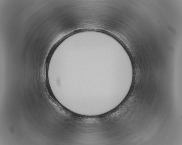 X0000111440982200908241140