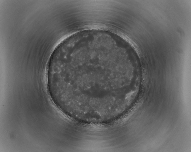 X0000111440983200908241140