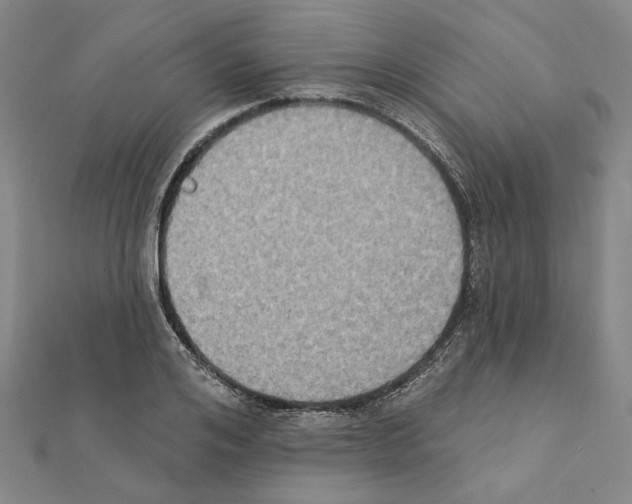 X0000111440984200908241140