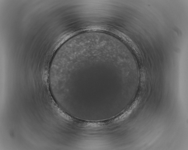 X0000111440985200908241140