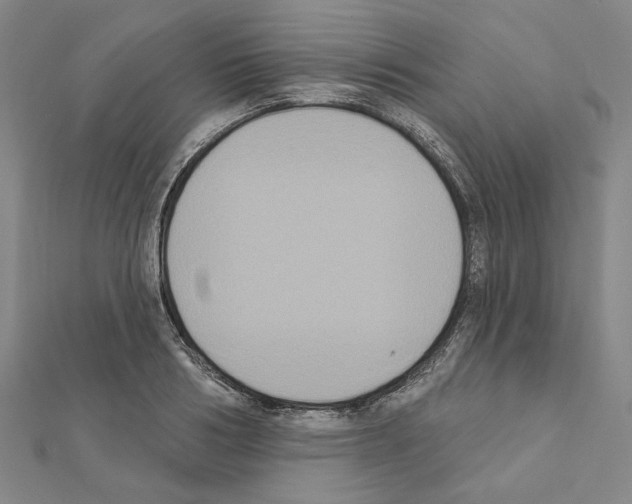 X0000111440986200908241140
