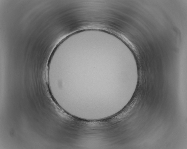 X0000111440988200908241140