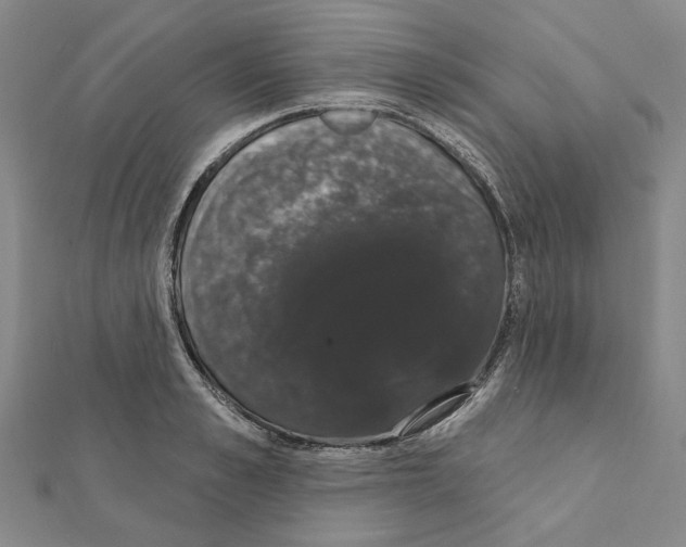 X0000111440989200908241140