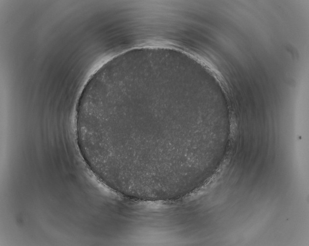 X0000111440990200908241140