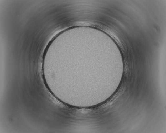 X0000111440992200908241140