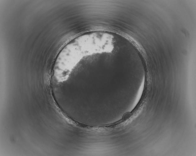 X0000111440993200908241140