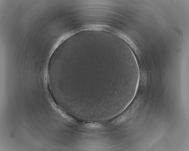 X0000111440994200908241140