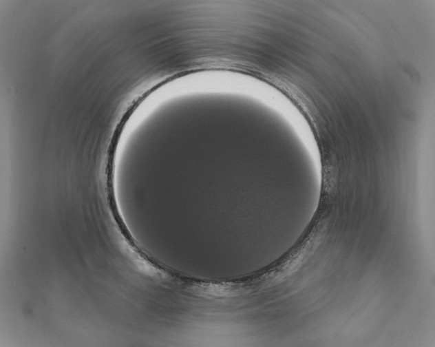 X0000111440995200908241140