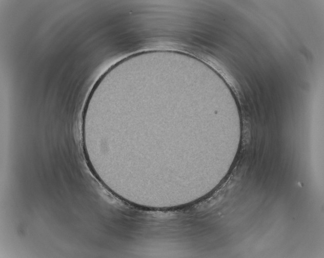 X0000111440996200908241140