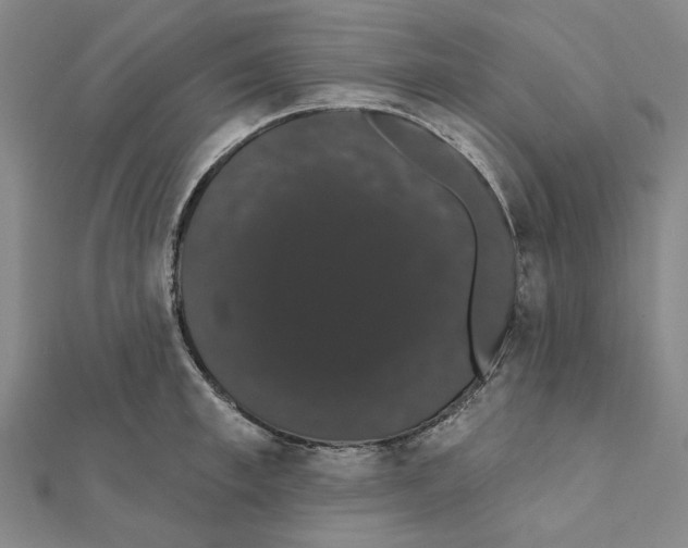X0000111440997200908241140